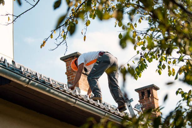 Best Roof Gutter Cleaning  in Byron, IL